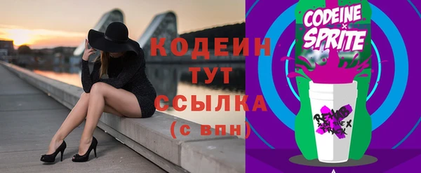 ГАЛЛЮЦИНОГЕННЫЕ ГРИБЫ Арсеньев