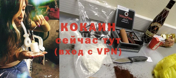 трава Пересвет