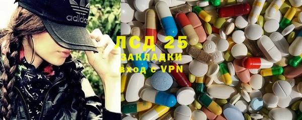 ГАЛЛЮЦИНОГЕННЫЕ ГРИБЫ Арсеньев