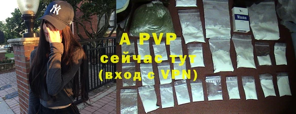 трава Пересвет