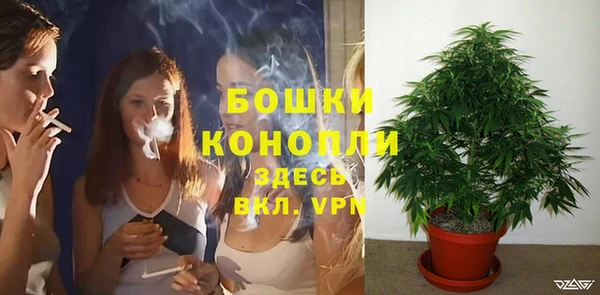 трава Пересвет
