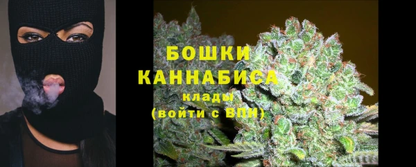 хмурый Пестово